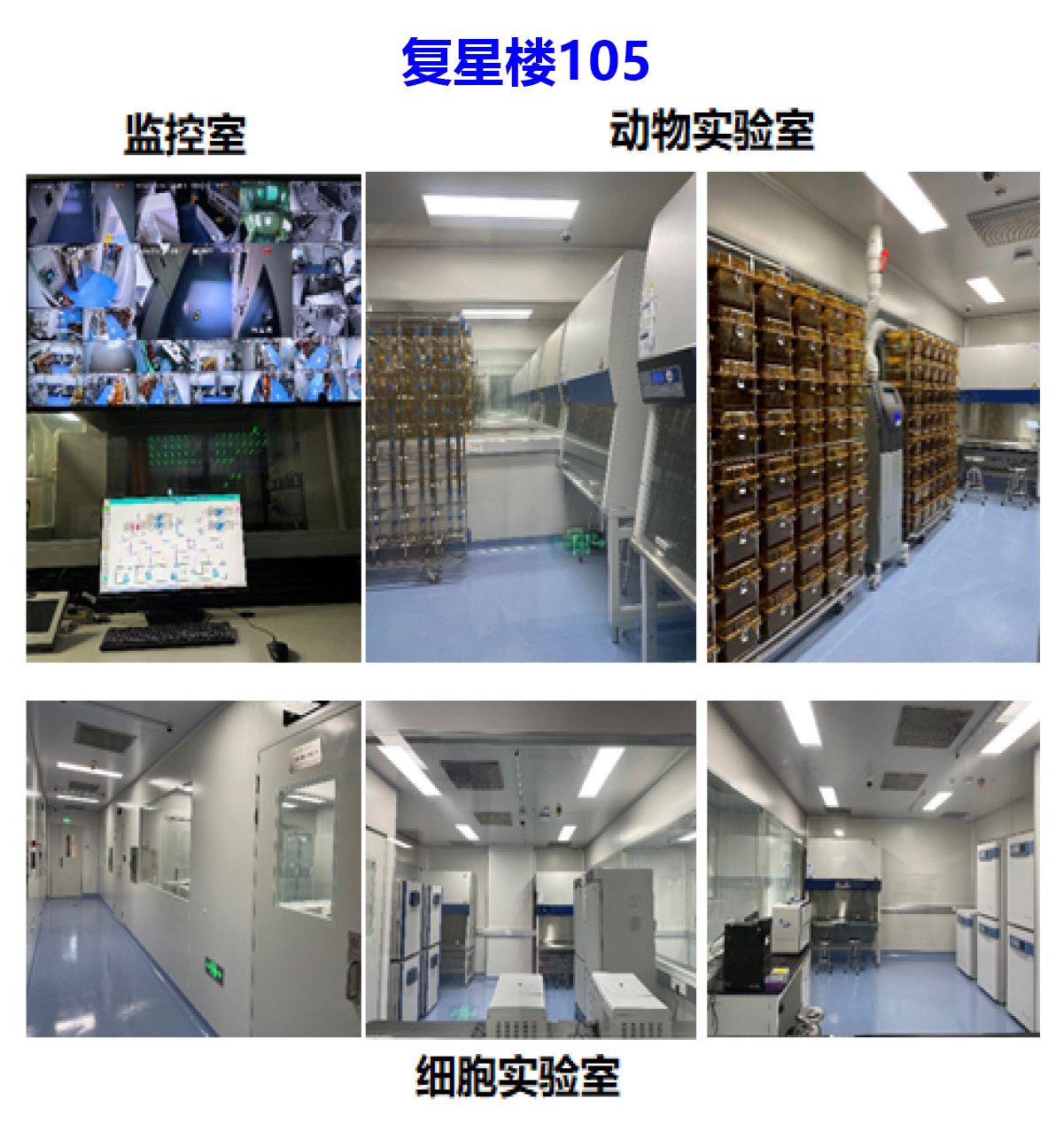 图片23.png